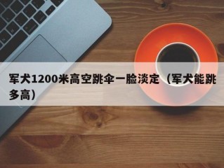 军犬1200米高空跳伞一脸淡定（军犬能跳多高）