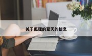 关于狐狸的夏天的信息