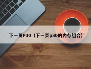 下一页P30（下一页p30的内存组合）