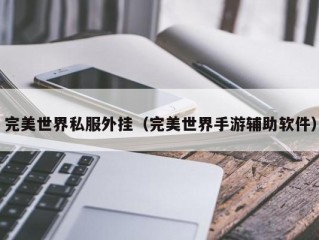 完美世界私服外挂（完美世界手游辅助软件）