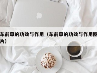 车前草的功效与作用（车前草的功效与作用图片）