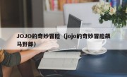 JOJO的奇妙冒险（jojo的奇妙冒险飙马野郎）