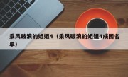 乘风破浪的姐姐4（乘风破浪的姐姐4成团名单）