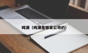 鸣潮（鸣潮是哪家公司的）