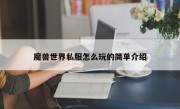 魔兽世界私服怎么玩的简单介绍