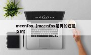 meenfox（meenfox是男的还是女的）