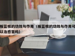 板蓝根的功效与作用（板蓝根的功效与作用可以治感冒吗）