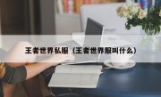 王者世界私服（王者世界服叫什么）