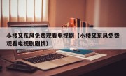 小楼又东风免费观看电视剧（小楼又东风免费观看电视剧剧情）