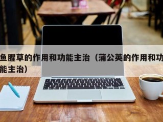 鱼腥草的作用和功能主治（蒲公英的作用和功能主治）