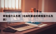 黄喉是什么东西（毛血旺里面的黄喉是什么东西）