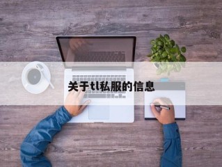 关于tl私服的信息