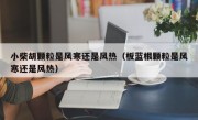 小柴胡颗粒是风寒还是风热（板蓝根颗粒是风寒还是风热）