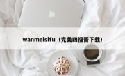 wanmeisifu（完美四福晋下载）