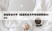 南昌职业大学（南昌职业大学单招录取线2023）