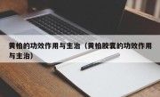 黄柏的功效作用与主治（黄柏胶囊的功效作用与主治）