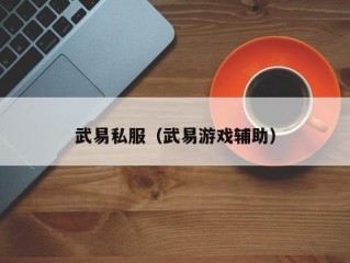 武易私服（武易游戏辅助）