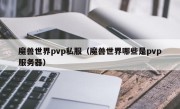 魔兽世界pvp私服（魔兽世界哪些是pvp服务器）