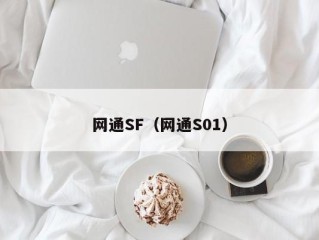 网通SF（网通S01）