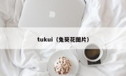 tukui（兔葵花图片）