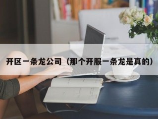 开区一条龙公司（那个开服一条龙是真的）