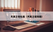 天翼之链私服（天翼之链地图）