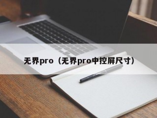 无界pro（无界pro中控屏尺寸）