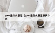 gmv是什么意思（gmv是什么意思啊两个点）