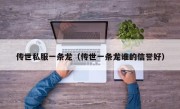 传世私服一条龙（传世一条龙谁的信誉好）