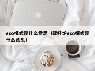 eco模式是什么意思（壁挂炉eco模式是什么意思）