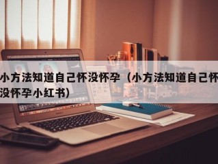 小方法知道自己怀没怀孕（小方法知道自己怀没怀孕小红书）